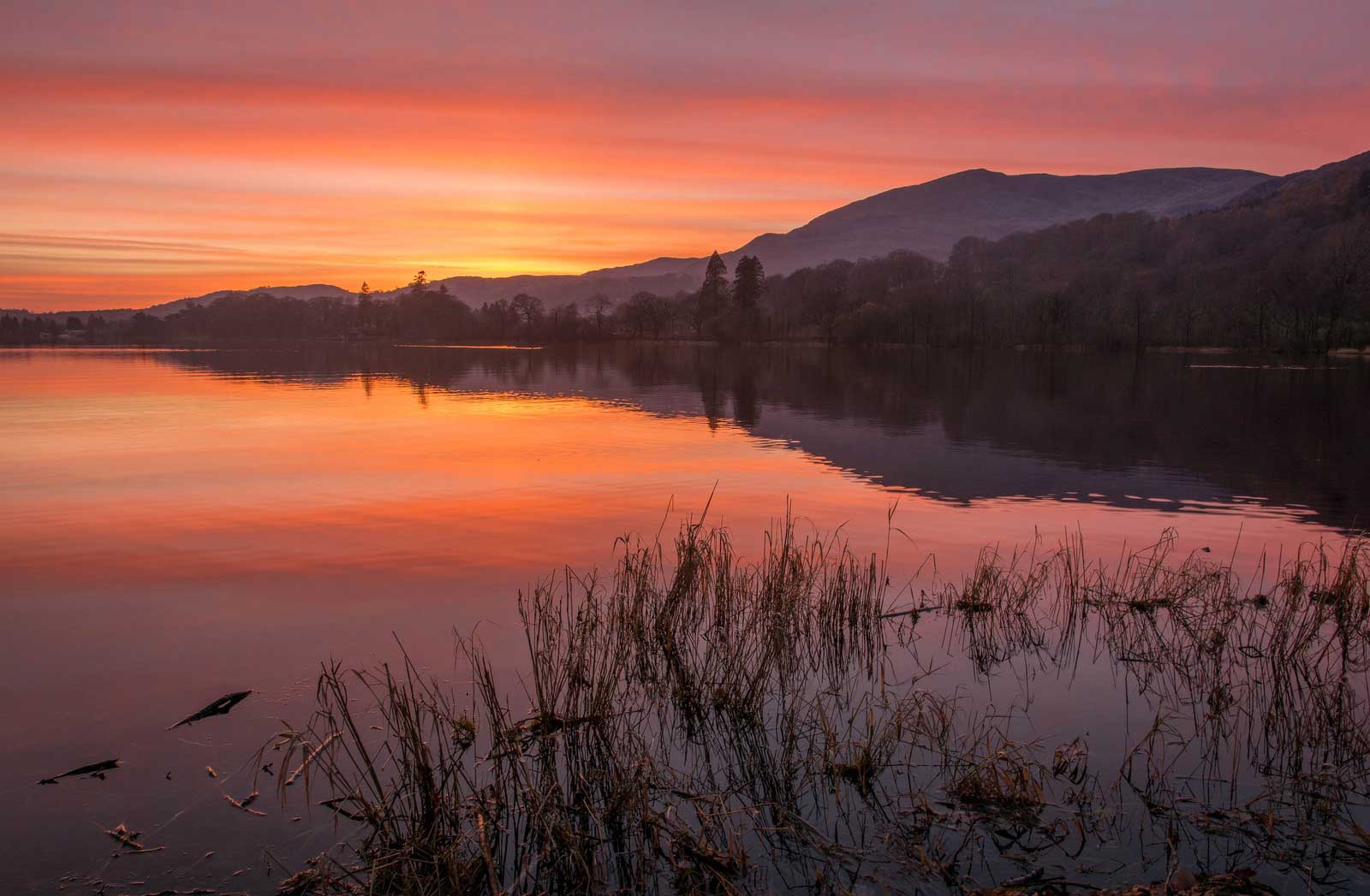 گالری تصاویر خالی با توضیحات